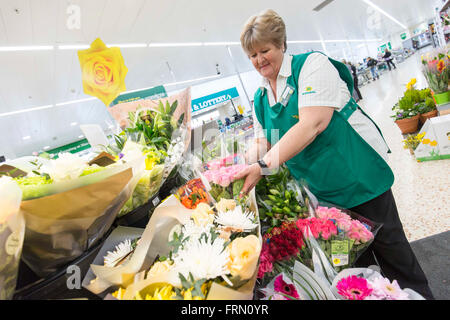 Una donna che lavora nella sezione di fiori di Morrisons supermercato Foto Stock