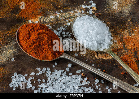 Cucchiai riempito con la paprika e il sale cristallino su tavola in legno rustico tra sparsi spezie colorate - primo piano Foto Stock