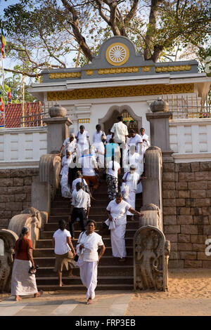 Sri Lanka, Anuradhapura, Sri Maha Bodi tempio, devoti approachng sacro Bo tree Foto Stock