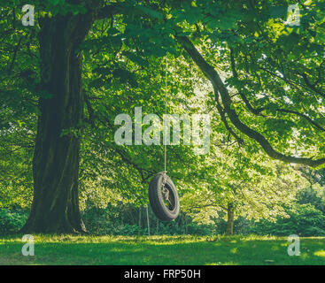 Infanzia Nostalgia Immagine di un pneumatico Swing appeso a un albero in un pomeriggio d'estate Foto Stock