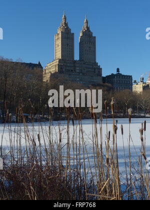 Il San Remo Appartamento Edificio con tifa vista dal Central Park Foto Stock