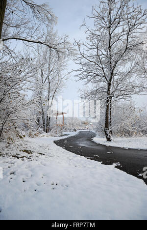 Wauconda, Illinois park district coperto di neve il percorso a piedi lungo Bangs Lago. Foto Stock