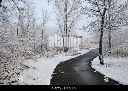 Wauconda, Illinois park district coperto di neve il percorso a piedi lungo Bangs Lago. Foto Stock