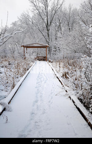 Wauconda, Illinois park district coperto di neve il percorso a piedi lungo Bangs Lago. Foto Stock