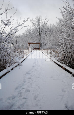 Wauconda, Illinois park district coperto di neve il percorso a piedi lungo Bangs Lago. Foto Stock