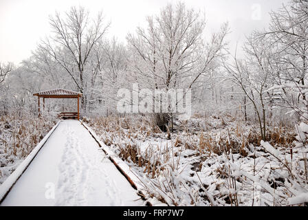 Wauconda, Illinois park district coperto di neve il percorso a piedi lungo Bangs Lago. Foto Stock