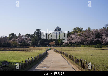 Il Giardino Korakuen con il castello di Okayama in background, Okayama, Giappone Foto Stock