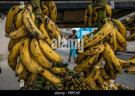 I grappoli di banane e platani pendente da un venditore ambulante di carrello a l'Avana, La Habana, Cuba. Foto Stock