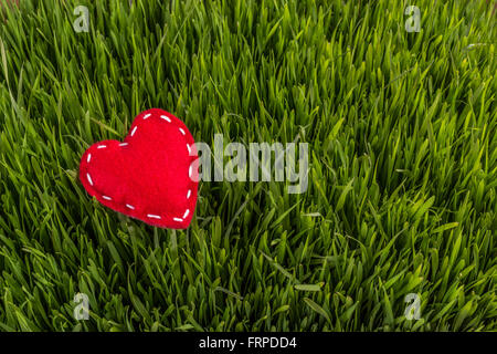 Realizzato a mano feltro rosso cuore su erba verde sullo sfondo Foto Stock