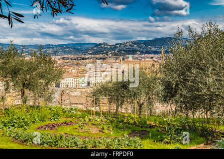 Viste mozzafiato dei palazzi e delle chiese di Firenze, Toscana Foto Stock