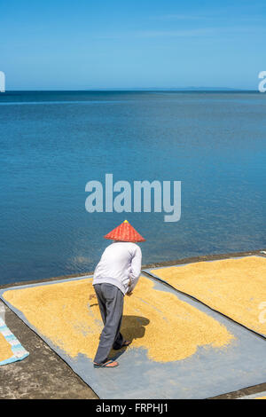 Filippine Leyte Baybay diffondendo il riso fuori ad asciugare accanto al mare Adrian Baker Foto Stock