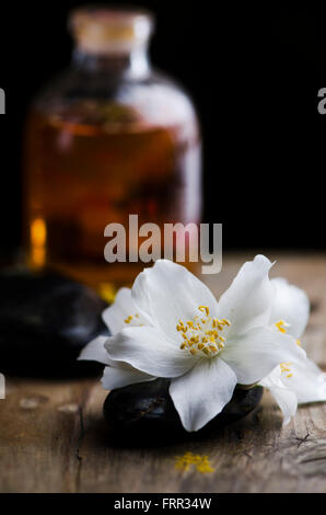 Concetto di Spa. Jasmin fiore e profumato olio su tavola di legno. Foto Stock