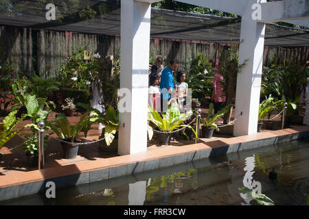 La casa delle orchidee nei Giardini Botanici Reali a Peradeniya, Kandy, Sri Lanka Foto Stock