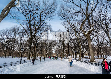 Central Park in inverno coperto di neve, New York City, Stati Uniti d'America. Foto Stock