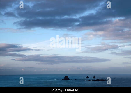 Piccole isole vicino a Cape Foulwind, regione West Coast, Nuova Zelanda Foto Stock