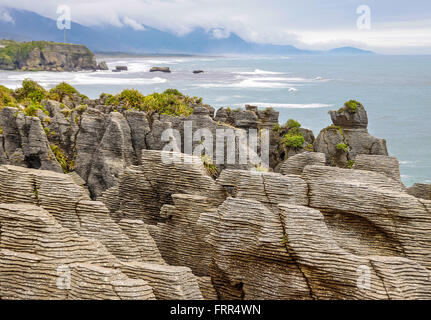 Pancake rocce vicino Punakaiki, Isola del Sud, Nuova Zelanda Foto Stock