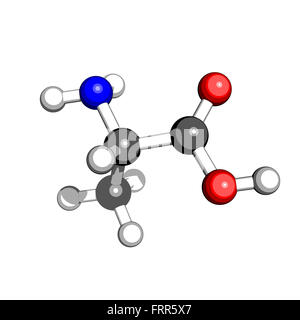 Amminoacido alanina struttura molecolare su sfondo bianco Foto Stock