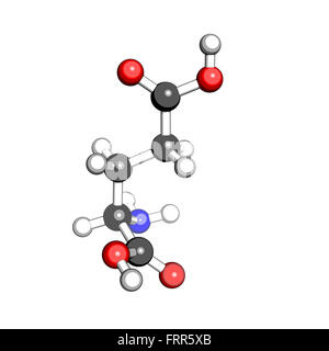 Ammino acido glutammico struttura molecolare su sfondo bianco Foto Stock