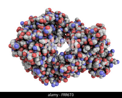 L'alemtuzumab frammento Fab modello di computer. L'alemtuzumab è un anticorpo monoclonale umanizzato che si lega a CD52 e la proteina è utilizzato Foto Stock