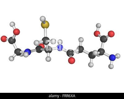 Struttura chimica di glutatione, un antiossidante, impedendo danni a importanti componenti cellulari causati da ossigeno reattivo Foto Stock