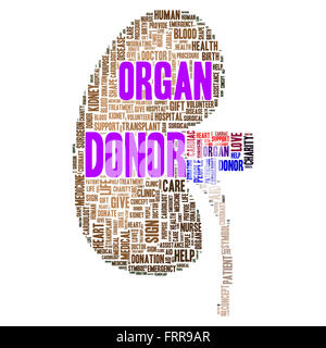 Donatore di organi word cloud concetto di forma Foto Stock