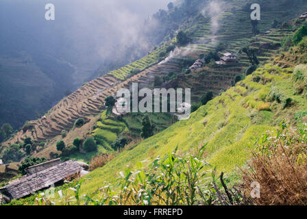 Vista dei campi terrazzati e fattorie lungo il versante di una montagna come visto durante il circuito di Annapurna Trek Annapurna Regione, Nepal Foto Stock