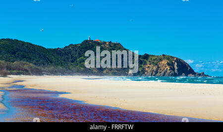 Deltaplani oltre tallow beach, Cape Byron, Byron Bay, Australia Foto Stock