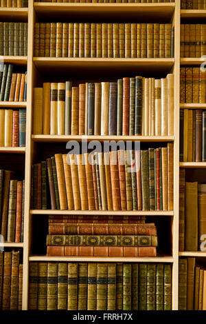 Librerie libreria con libri antichi. Gli scaffali pieni di cuoio libri rilegati. Foto Stock