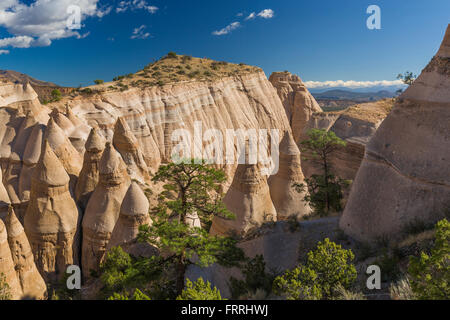 Tenda a forma di visti hoodoos dallo Slot Canyon Trail a tenda Kasha-Katuwe rocce monumento nazionale nel Nuovo Messico, STATI UNITI D'AMERICA Foto Stock