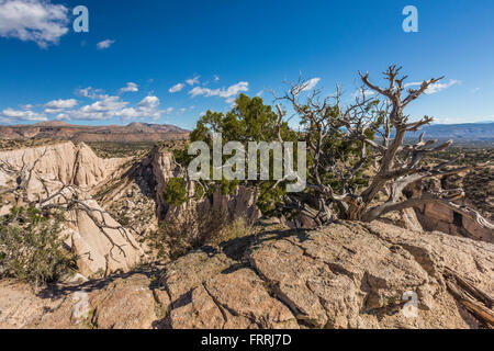 Scogliere e hoodoos visto da punti alti lungo la fessura Canyon Trail, Kasha-Katuwe tenda Rocks National Monument, Nuovo Messico, STATI UNITI D'AMERICA Foto Stock