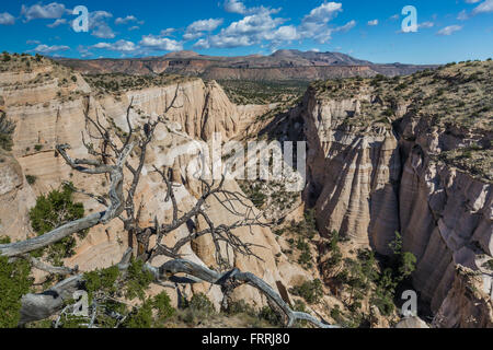 Scogliere e hoodoos visto da punti alti lungo la fessura Canyon Trail, Kasha-Katuwe tenda Rocks National Monument, Nuovo Messico, STATI UNITI D'AMERICA Foto Stock