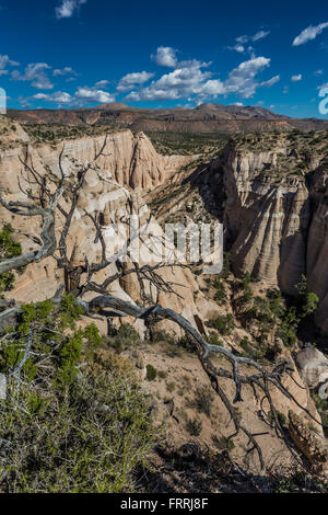 Scogliere e hoodoos visto da punti alti lungo la fessura Canyon Trail, Kasha-Katuwe tenda Rocks National Monument, Nuovo Messico, STATI UNITI D'AMERICA Foto Stock