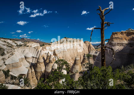 Paesaggio di scogliere e canyon visto dallo Slot Canyon Trail a tenda Kasha-Katuwe Rocks National Monument, Nuovo Messico, STATI UNITI D'AMERICA Foto Stock