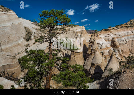 Paesaggio di scogliere e canyon visto dallo Slot Canyon Trail a tenda Kasha-Katuwe Rocks National Monument, Nuovo Messico, STATI UNITI D'AMERICA Foto Stock