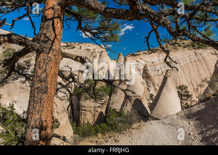 Paesaggio di scogliere e canyon visto dallo Slot Canyon Trail a tenda Kasha-Katuwe Rocks National Monument, Nuovo Messico, STATI UNITI D'AMERICA Foto Stock