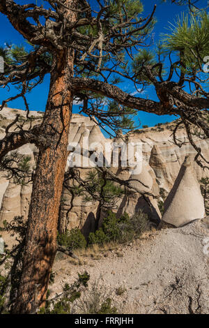 Paesaggio di scogliere e canyon visto dallo Slot Canyon Trail a tenda Kasha-Katuwe Rocks National Monument, Nuovo Messico, STATI UNITI D'AMERICA Foto Stock