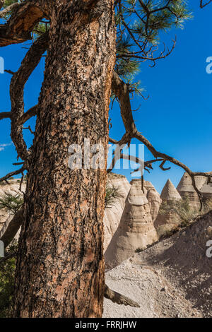 Paesaggio di scogliere e canyon visto dallo Slot Canyon Trail a tenda Kasha-Katuwe Rocks National Monument, Nuovo Messico, STATI UNITI D'AMERICA Foto Stock