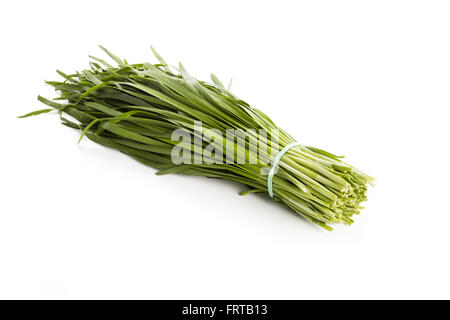 Erba cipollina cinese, popolare di verdura verde in Asia Foto Stock
