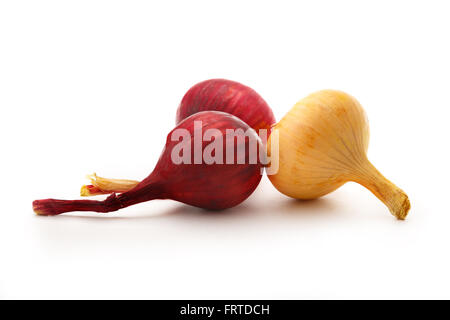 tagliare le cipolle succose su un primo piano di una tavola di legno.  9797913 Stock Photo su Vecteezy