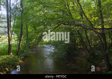 BRD, Renania settentrionale-Vestfalia, Rheinisch-Bergischer Kreis, Helenental (Tal Der Dhünn) bei Altenberg Foto Stock