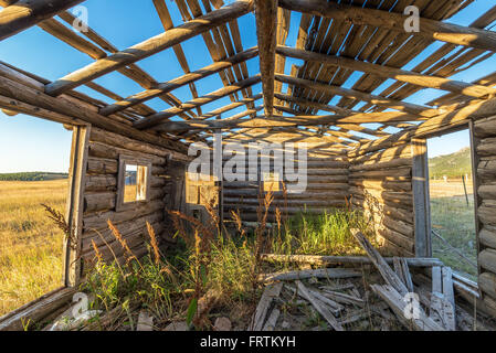 Abbandonato homestead abitacolo nella Bighorn Mountains vicino a Buffalo, Wyoming Foto Stock