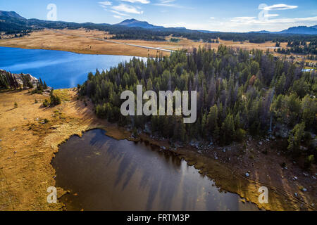 Vista aerea di laghi e alberi in Shoshone National Forest in Wyoming Foto Stock