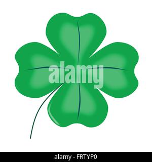 Un molto fortunato irlandese verde foglia 4 shamrock su bianco. Illustrazione Vettoriale