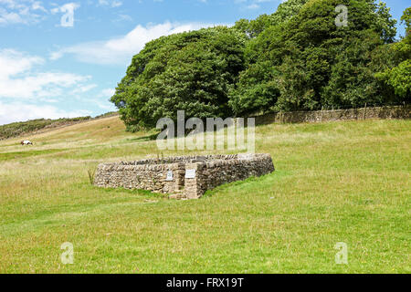 Riley Graves Eyam Derbyshire England Regno Unito foto scattata dal sentiero pubblico Foto Stock