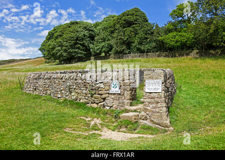 Riley Graves Eyam Derbyshire England Regno Unito foto scattata dal sentiero pubblico Foto Stock