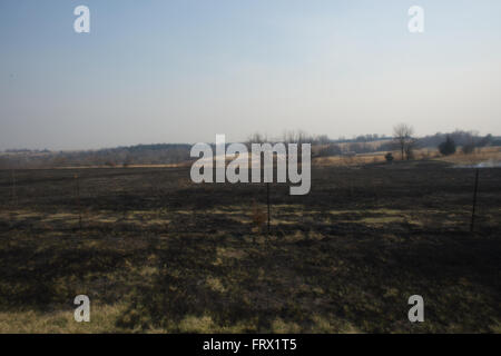 Auburn, Kansas, 30 marzo, 2014 campi annuale essendo bruciata per controllare le infestanti e di piante legnose Credito: Mark Reinstein Foto Stock