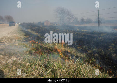 Auburn, Kansas, 30 marzo, 2014 campi annuale essendo bruciata per controllare le infestanti e di piante legnose Credito: Mark Reinstein Foto Stock