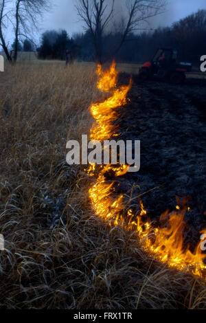 Auburn, Kansas, 30 marzo, 2014 campi annuale essendo bruciata per controllare le infestanti e di piante legnose Credito: Mark Reinstein Foto Stock