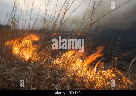 Auburn, Kansas, 30 marzo, 2014 campi annuale essendo bruciata per controllare le infestanti e di piante legnose Credito: Mark Reinstein Foto Stock