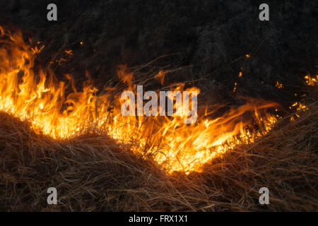 Auburn, Kansas, 30 marzo, 2014 campi annuale essendo bruciata per controllare le infestanti e di piante legnose Credito: Mark Reinstein Foto Stock